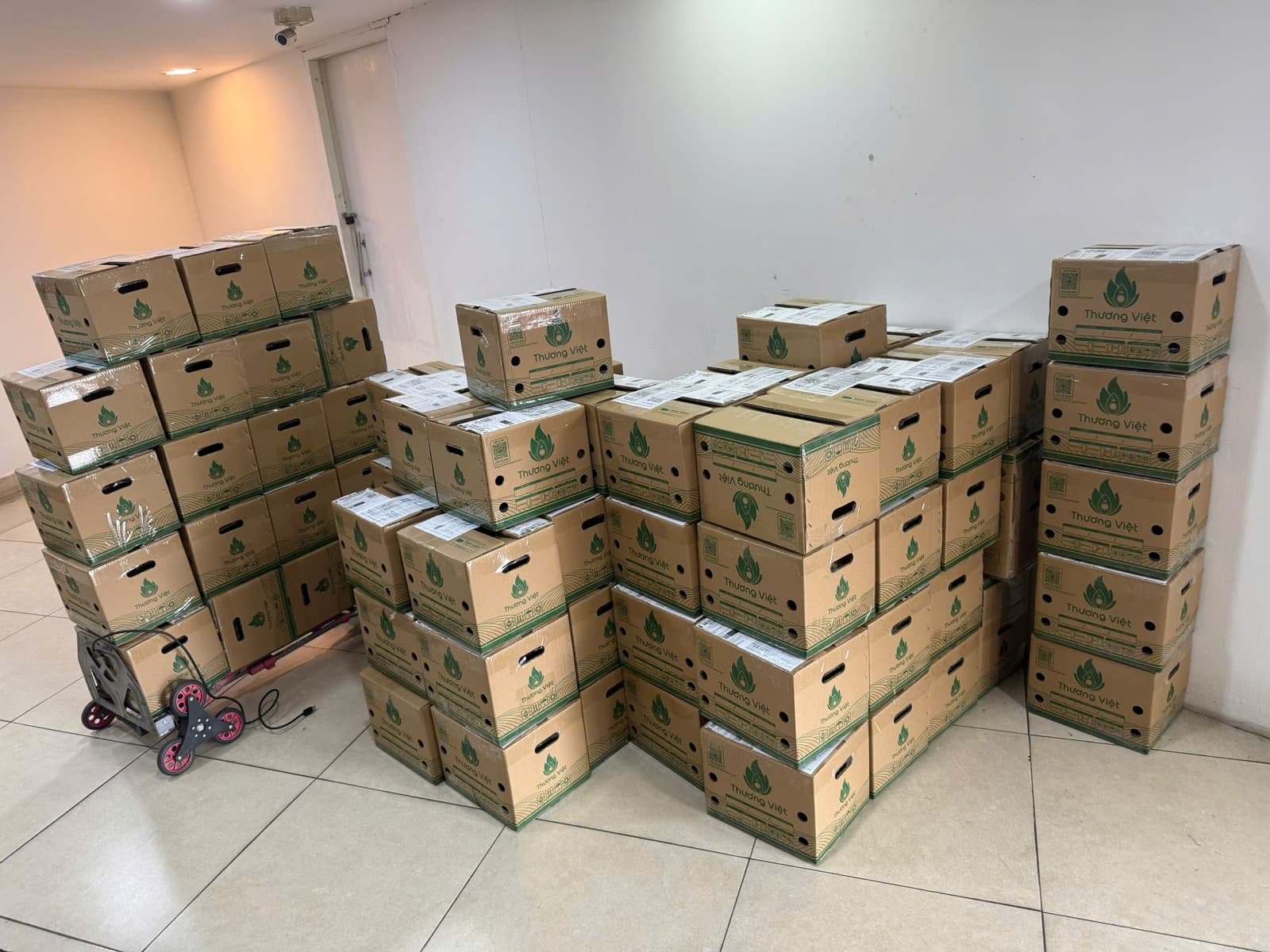 Kho vận hành và khu vực đóng gói của MVOT Fulfillment