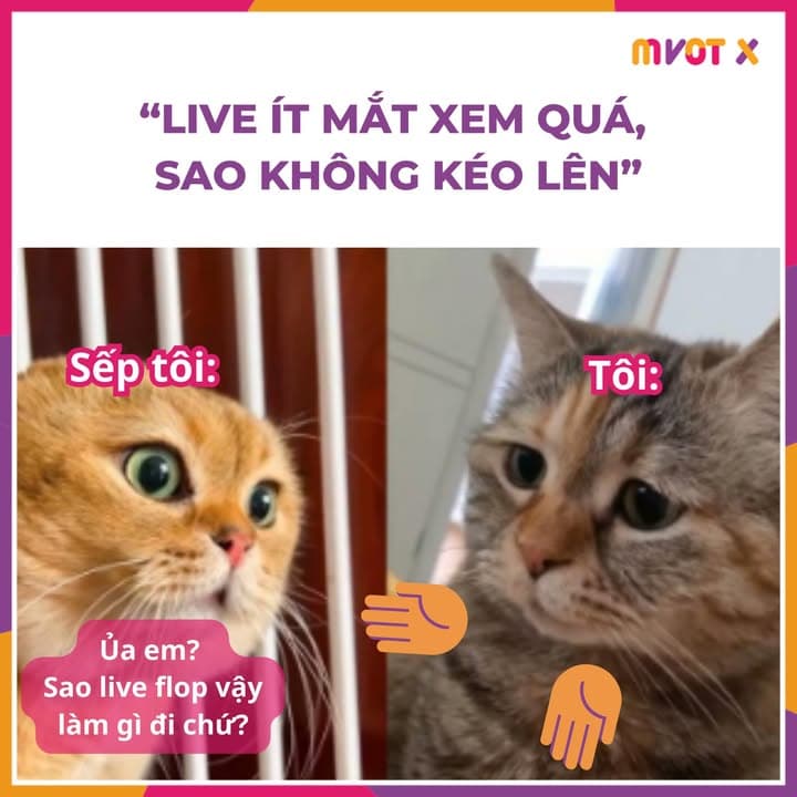Hông biết nữa... 🤦‍♀️🤷‍♀️🙎‍♀️