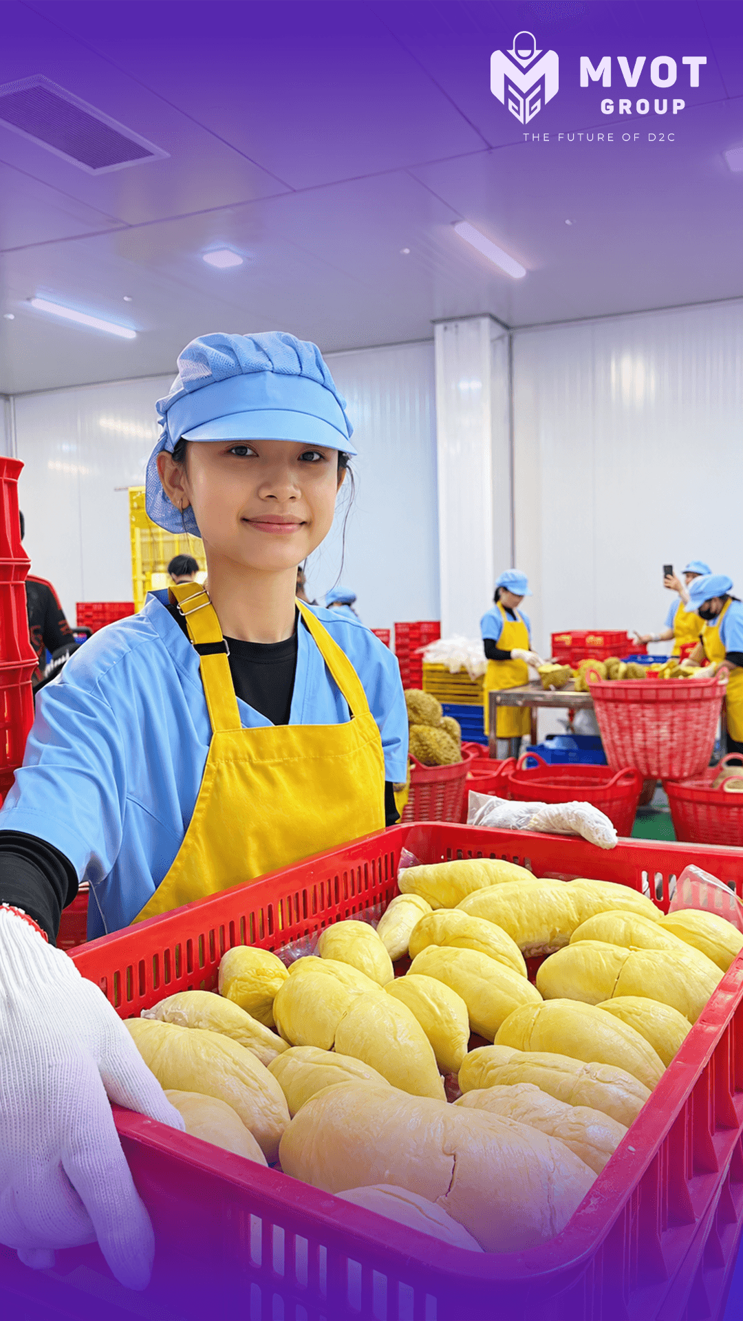 Công nhân mặc đồ bảo hộ xử lý sầu riêng xuất khẩu