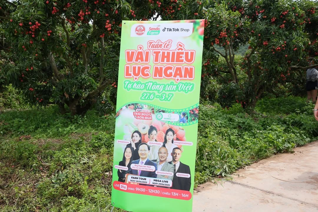 MVOT X - Vận hành thành công chiến dịch livestream tiêu thụ hơn 55 tấn vải thiều Lục Ngạn - Bắc Giang
