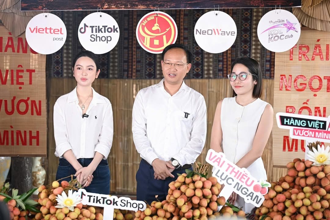 🍇 TỪ VƯỜN VẢI BẮC NINH ĐẾN NỀN TẢNG SỐ: