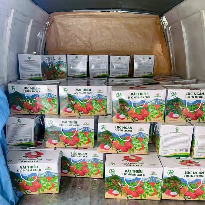 MVOT X: Đỉnh Cao "Bán Vải Ăn Vải" – Nhận Ngay 250kg Quà Từ Bắc Giang!